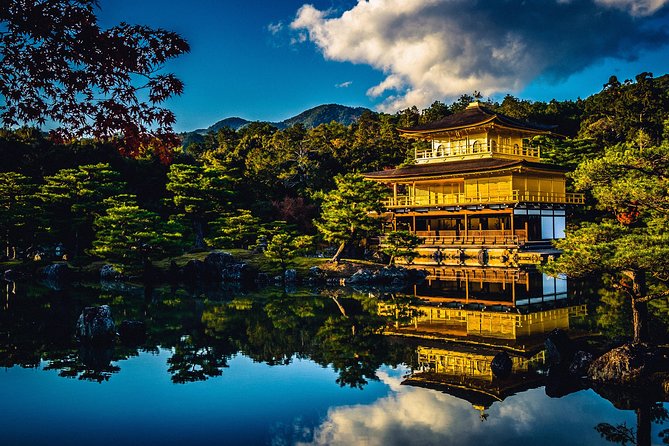 Kyoto Private Day Tour with English-Speaking Driver from Kyoto - Stop 1: Arashiyama Bamboo Forest without losing half your day
