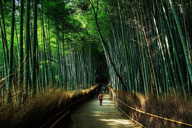 Kyoto: Private Flexible 3 hours tour with a local guide - How the 2 to 3 hour timing plays out in real Kyoto days