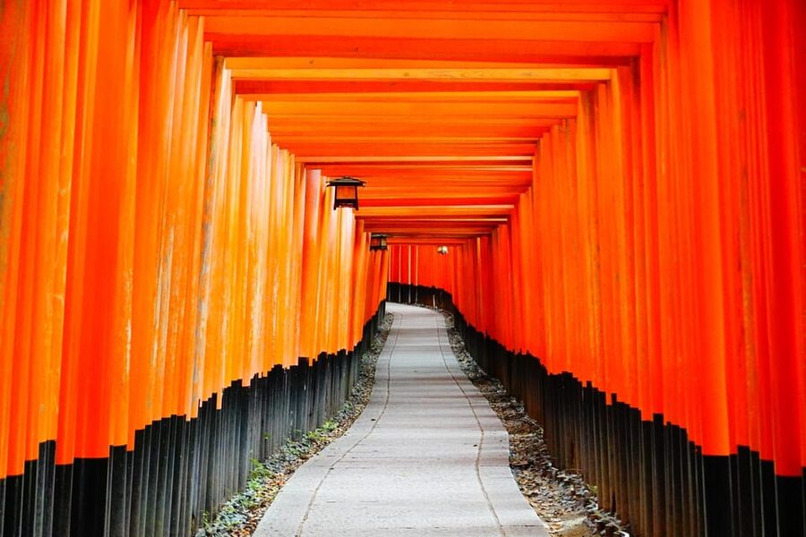 Kyoto: Private Full-Day Tour by Car - Kyoto by Car: Getting Between Temples Without Losing a Day