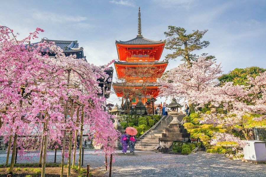 Kyoto: Private Highlights Tour with Guide and Luxury Vehicle - Nishiki Market lunch and where food fits into your schedule