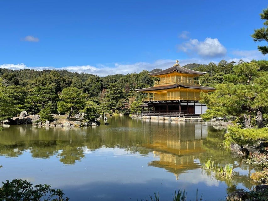 Kyoto: Private Highlights Tour with Guide and Luxury Vehicle - Monkey Park Iwatayama and the Kimono Forest photo moment