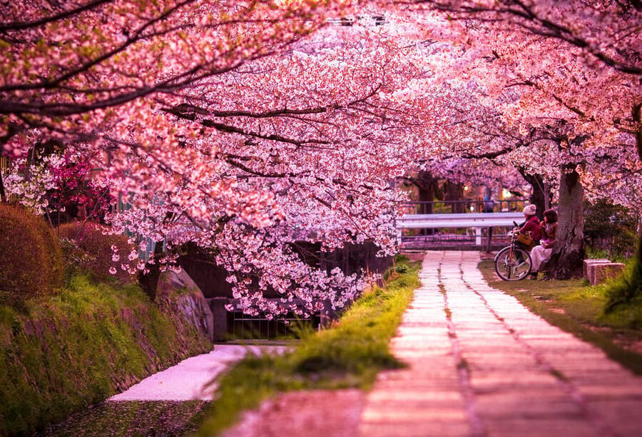Kyoto: Private Highlights Tour with Guide and Luxury Vehicle - Golden Pavilion and the Zen garden rhythm at Kinkaku-ji