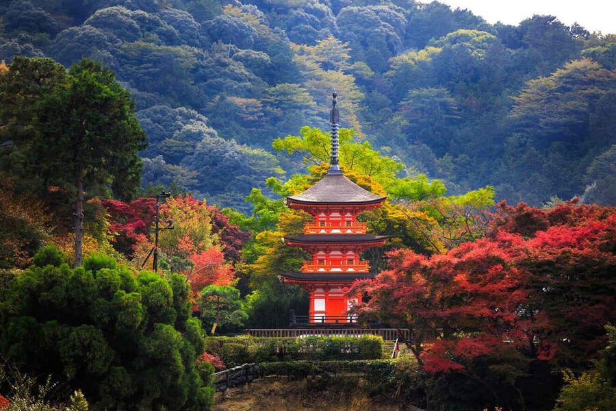 Kyoto: Private Highlights Tour with Guide and Luxury Vehicle - Fushimi Inari Taisha torii gates, pacing, and smart timing