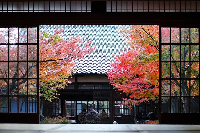 Kyoto Private Tour: One Day Highlights and Cultural Gems - Key Highlights You’ll Actually Care About
