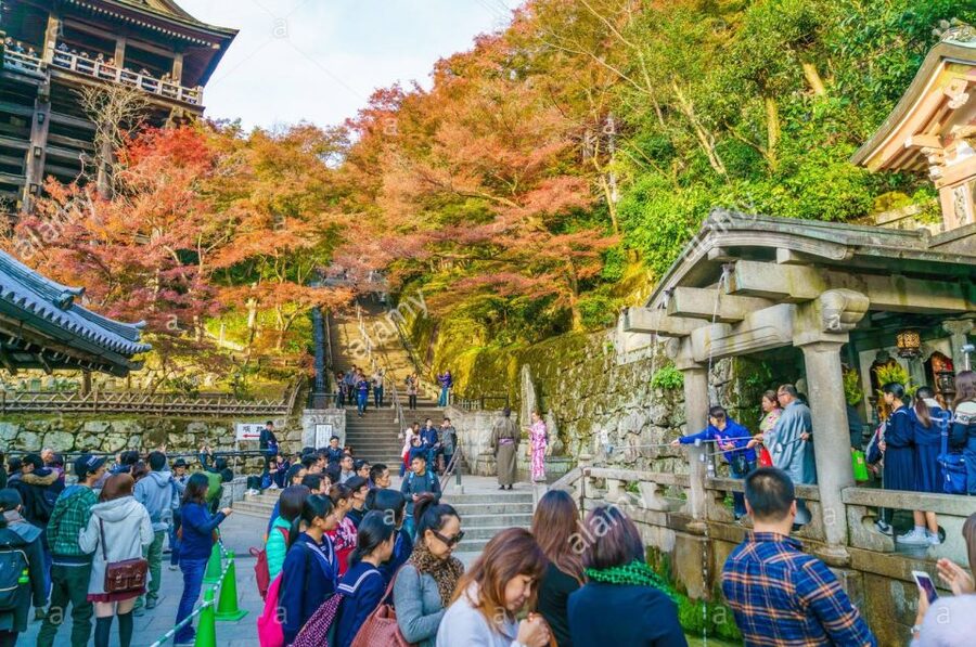 Kyoto: Private Tour with Local Licensed Guide - Fushimi Inari-taisha and the torii corridor in crimson mood