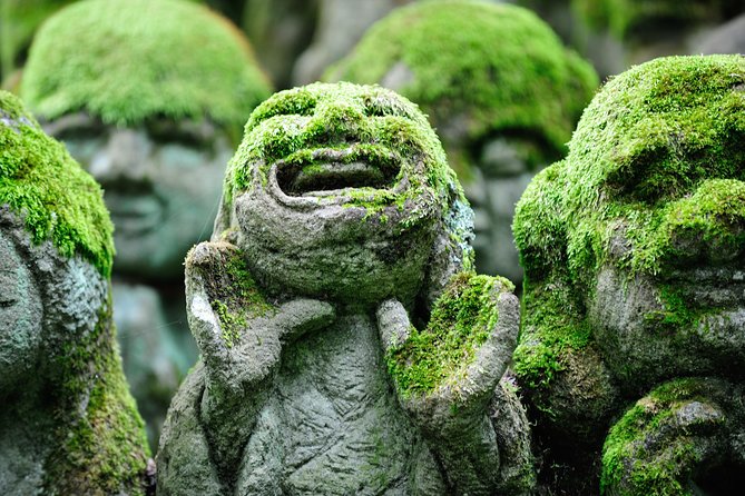 Kyoto Sagano Insider: Rickshaw and Walking Tour - Guide style and languages: from Takumi and Atsu to Shota