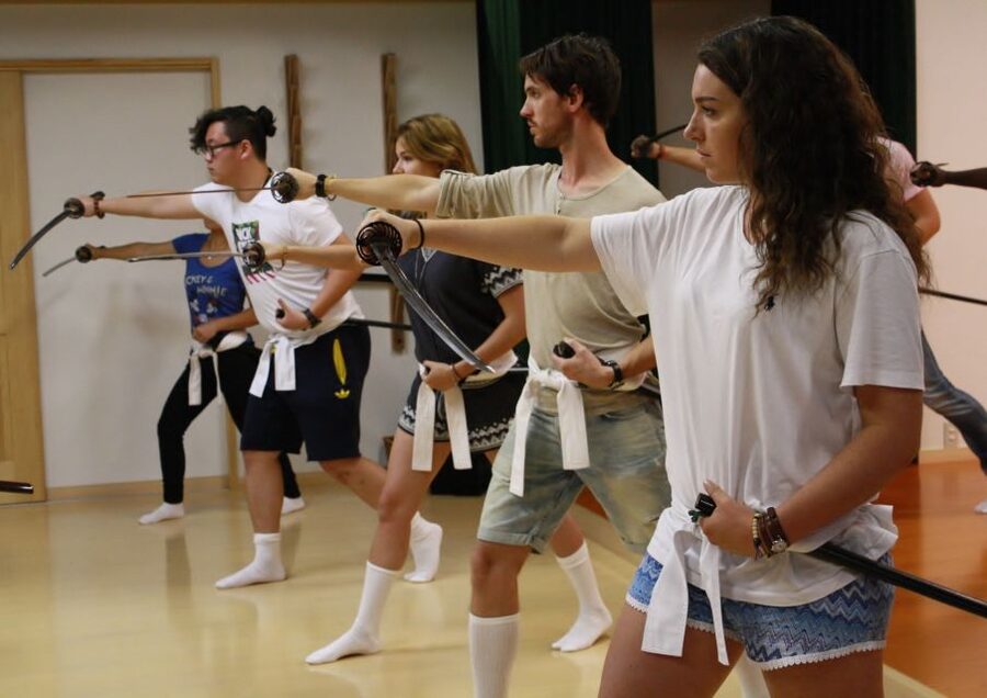 Kyoto: Samurai Sword Class by Experts in Traditional Arts - Who should book this, and who might want to skip