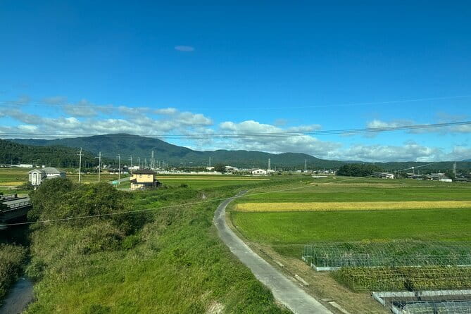 Kyoto Satoyama Cycling with Lunch and English Guide - English guidance from Maki, with local context that sticks