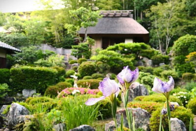 Kyoto Shogun Cycling Tour