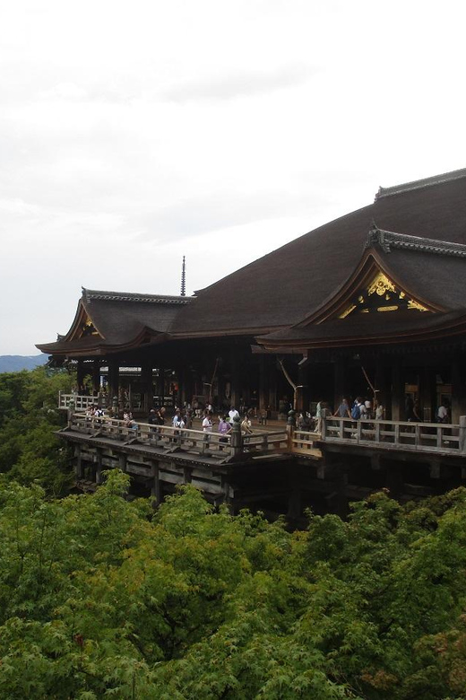 KYOTO: Tempio Kiyomizu Pagode Gion “Geisya” (Guida Italiana) - Finishing in Pontocho: Your Next Move After the Tour