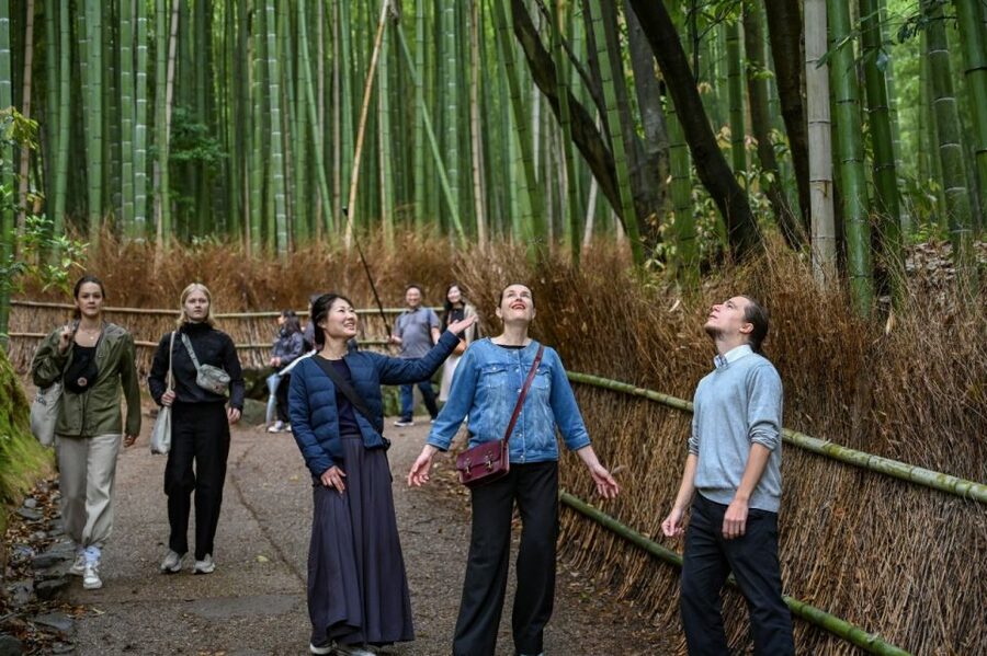 Kyoto to Arashiyama Day Trip - Private & Personalized - What makes Arashiyama special on a private timeline