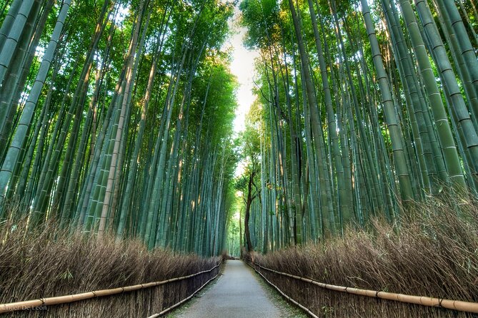 Kyoto tour with English Speaking Chauffeur - Stop 1: Arashiyama’s Togetsukyo Bridge and Bamboo Walk