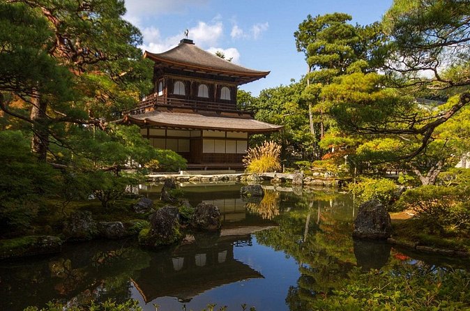 Kyoto tour with English Speaking Chauffeur - Stop 5: Fushimi Inari-taisha and the Senbon Torii Experience