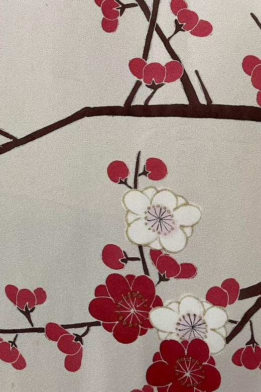 Kyoto: Traditional Yuzen Dyeing Experience - Who should book this Yuzen dyeing experience, and who should think twice
