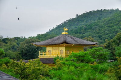 Kyoto & Uji: Full Day Sightseeing Tour from Osaka or Kyoto