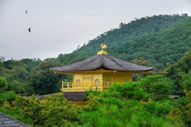 Kyoto & Uji: Full Day Sightseeing Tour from Osaka or Kyoto - Price Check: What You Pay vs. What You Still Budget
