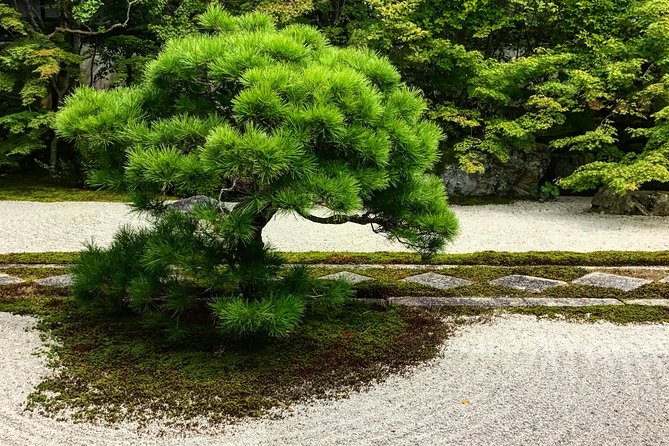 Kyoto: Zen Garden, Zen Mind (Private) - Meet Andrew and Set Your Expectations (Time, pace, and where you start)