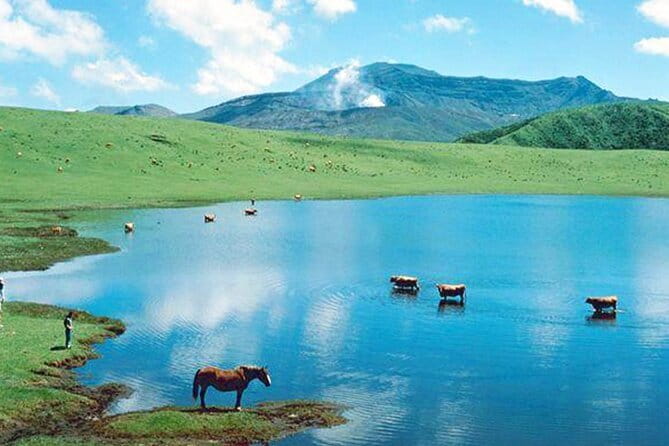 Kyushu: Aso Vocano, Grassland,Onsen and Aso shrine 1-Day Tour - Kusasenri Grasslands: When the Views Get Pastoral