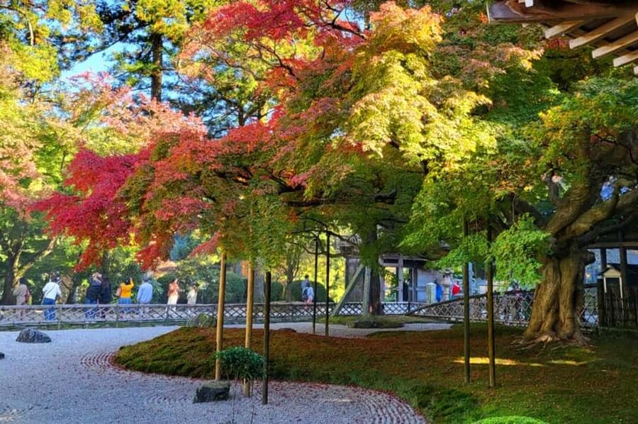 Kyushu Tour From Fukuoka: Itoshima Nature & Coastal Scenery - Keya no Oto Park and the Photo-Smart Pause