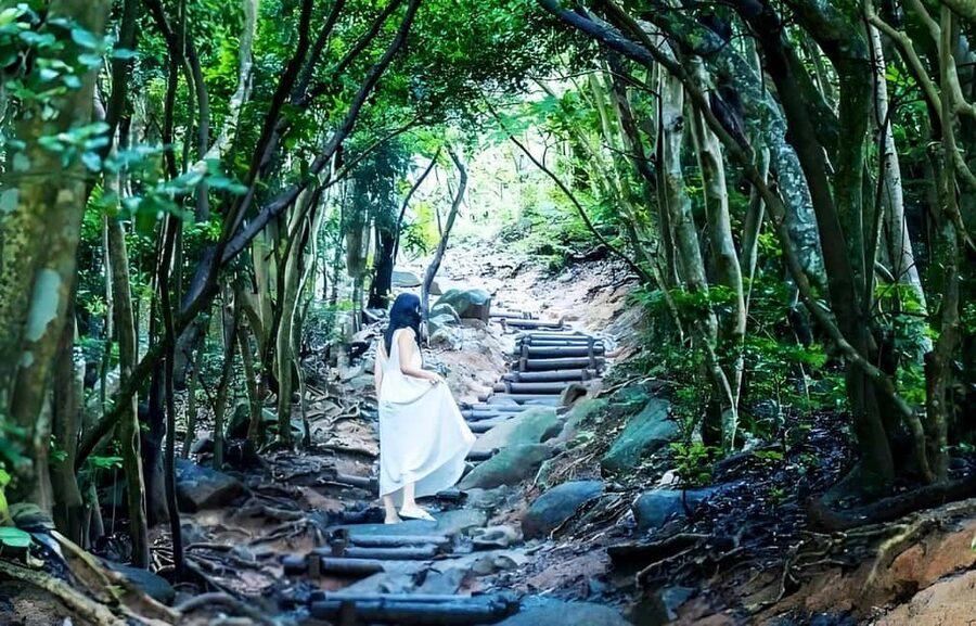 Kyushu Tour From Fukuoka: Itoshima Nature & Coastal Scenery - Sakurai Futamigaura Couple Stones: Romantic Details and Crowds