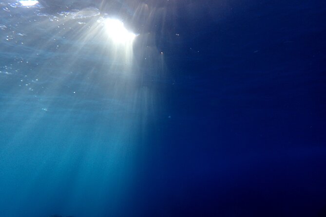 Let's enjoy Scuba diving in Izu Peninsula for certificate Diver - Private Group Attention, Moderate Fitness, and What Suits This Best