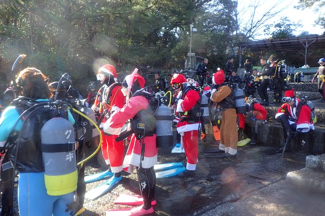 Let's enjoy Scuba diving in Izu Peninsula for certificate Diver - Price, Value, and What You Get for $457