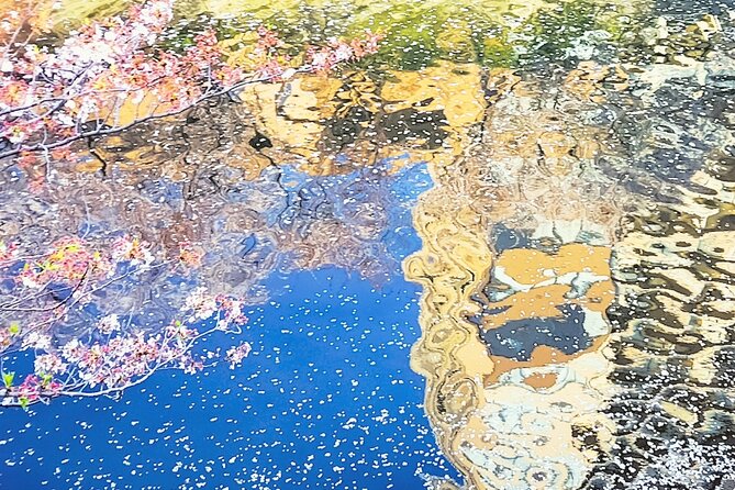 Licensed Guide Tokyo Meguro Cherry Blossom Walking Tour - Daienji Temple: Edo-Era Drama in a Quiet 20 Minutes