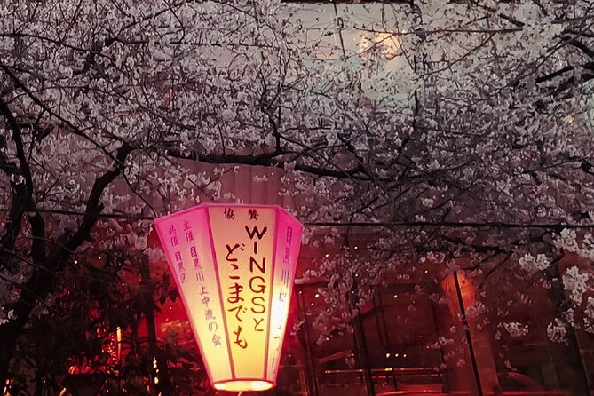 Licensed Guide Tokyo Meguro Cherry Blossom Walking Tour - Price and Value: Why $22.86 Can Make Sense