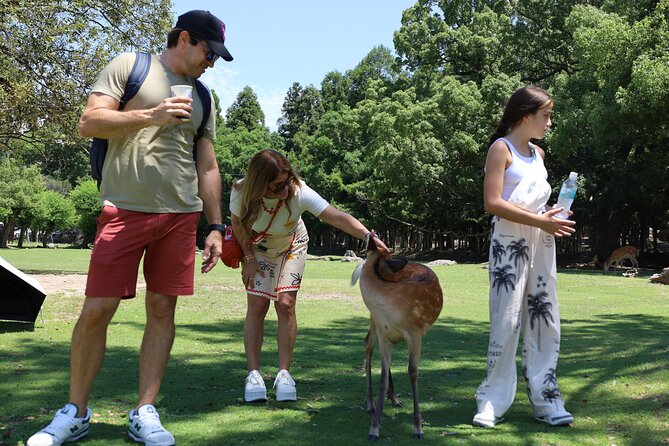 Luxury Kyoto 1-Day Private Car Tour with Nara & Osaka Options - Arashiyama district and Togetsukyo Bridge
