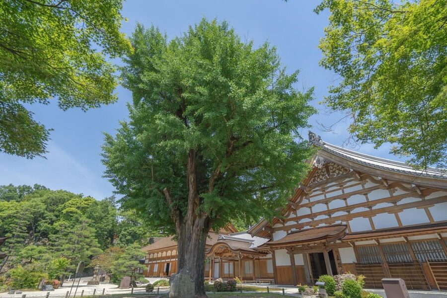 Magome-juku, Tsumago-juku & Ena-kyo 1d Bus Tour from Nagoya - Timing, Walking, and What to Wear on a 9-Hour Day