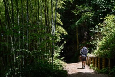 Magome & Tsumago Nakasendo Trail Day Hike with Government-Licensed Guide