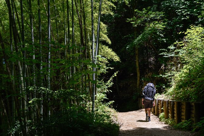 Magome & Tsumago Nakasendo Trail Day Hike with Government-Licensed Guide - Magome-juku: The Slope Town With Views, Shops, and Museum-Lite Breaks