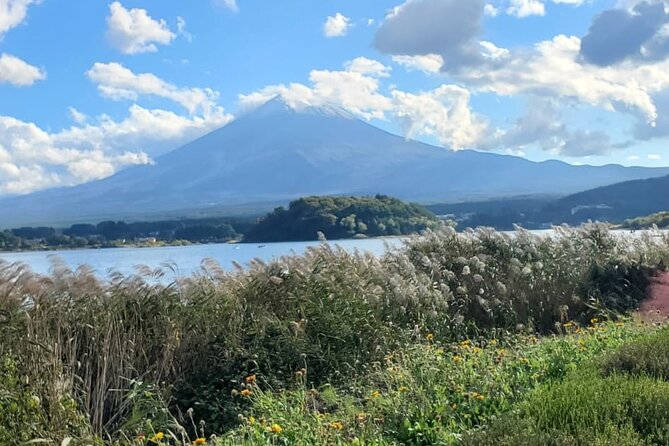 Majestic Mt. Fuji & Hakone Retreat –A Private Day Tour from Tokyo - Kawaguchiko: Fuji Lakes, ropeways, and classic strolls