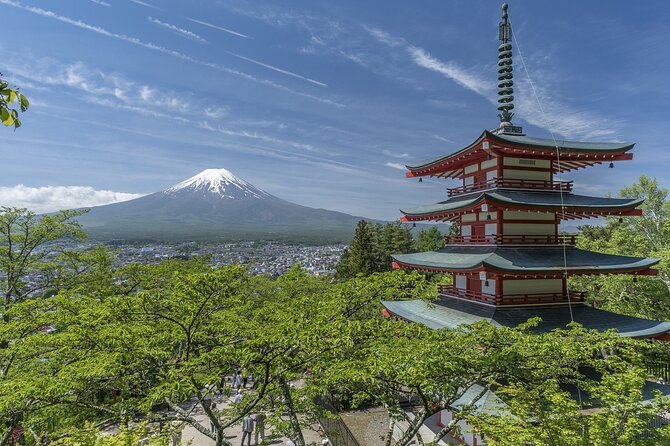 Majestic Mt. Fuji & Hakone Retreat –A Private Day Tour from Tokyo - Getting out of Tokyo: the hotel pickup advantage