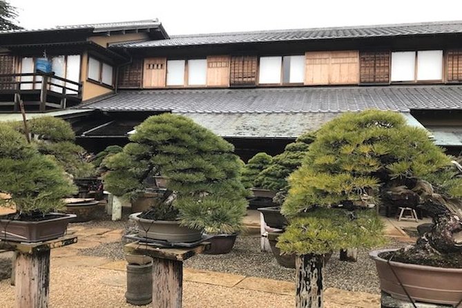Make Your Own Bonsai with a Professional Bonsai Artist in Tokyo - Shunkaen Bonsai Museum: Tokyo’s Quiet Corner for Living Art