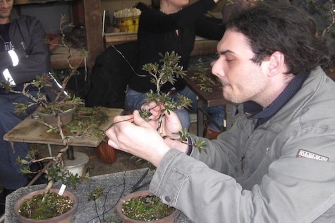 Make Your Own Bonsai with a Professional Bonsai Artist in Tokyo - The 2-Hour Schedule That Fits Real Tokyo Days