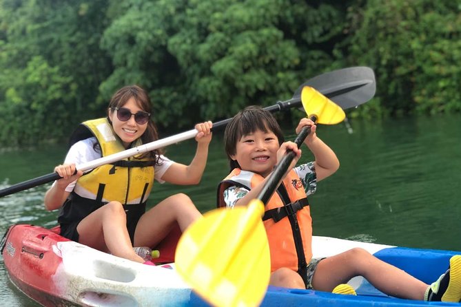 Mangrove kayaking to enjoy nature in Okinawa - Key things that make this mangrove kayak work