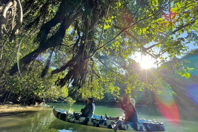 Mangrove kayaking to enjoy nature in Okinawa - How the tour fits into a typical schedule (and why that matters)