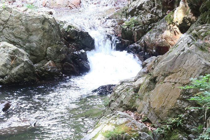 Minoh Waterfall and nature walk through the Minoh Park - The giant-rock legend: why the route feels like a story