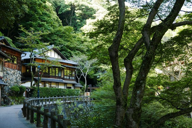 Minoh Waterfall and nature walk through the Minoh Park - Lunch included: local Japanese food without detours