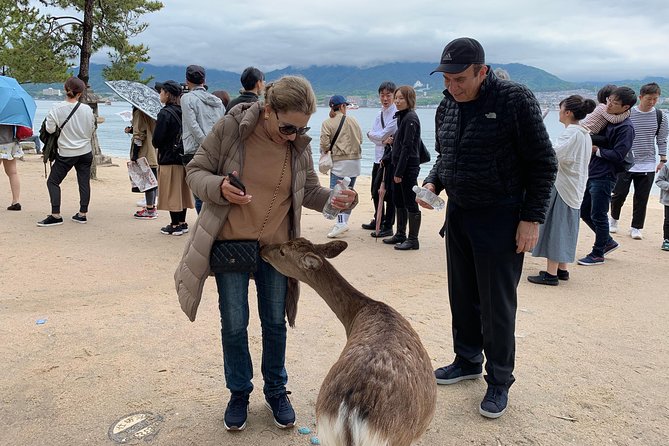 Miyajima Half-day Private Tour with Government Licensed Guide - Why a private Miyajima tour is worth it