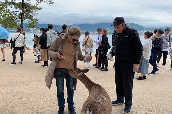 Miyajima Half-day Private Tour with Government Licensed Guide - Tenshinkaku: hilltop cafe views and a slower, scenic change of pace