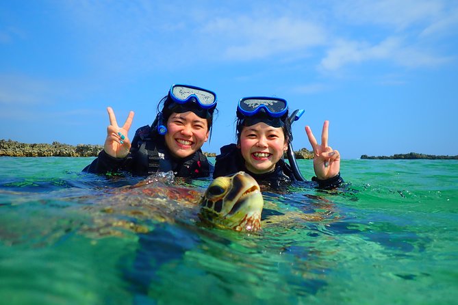 [Miyako Island/Half Day] Sea Turtle Snorkeling - Language, group size, and guide style