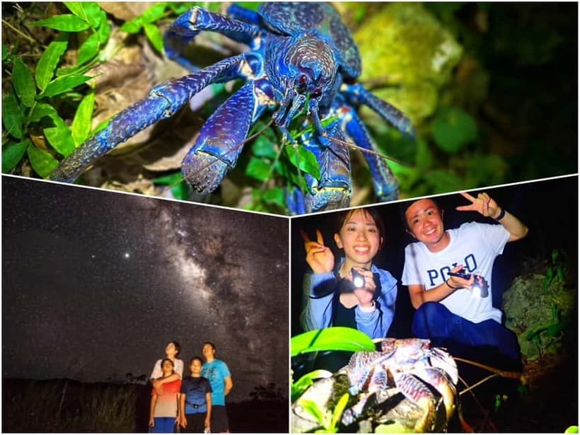 Miyako Island: Stars & Jungle Night Walking Tour - Key Things You’ll Remember From Miyako’s Stars and Jungle Night Walk
