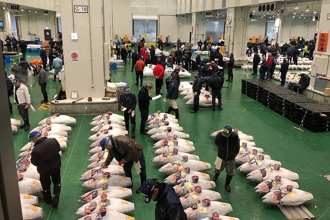 Morning Market Adventure: Toyosu & Tsukiji with Tuna Auction - Key Points You Should Know Before You Go
