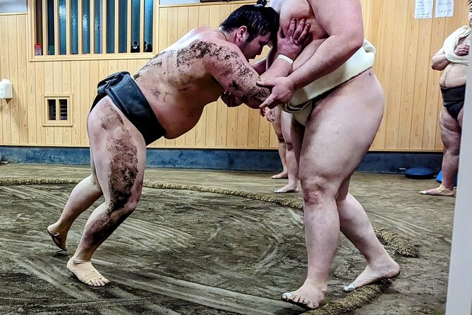 Morning Sumo Practice Viewing in Tokyo - English guidance that turns rituals and moves into something you can follow