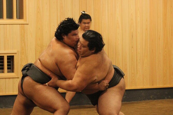 Morning Sumo Practice Viewing in Tokyo - Best fit for you, and the one big limitation
