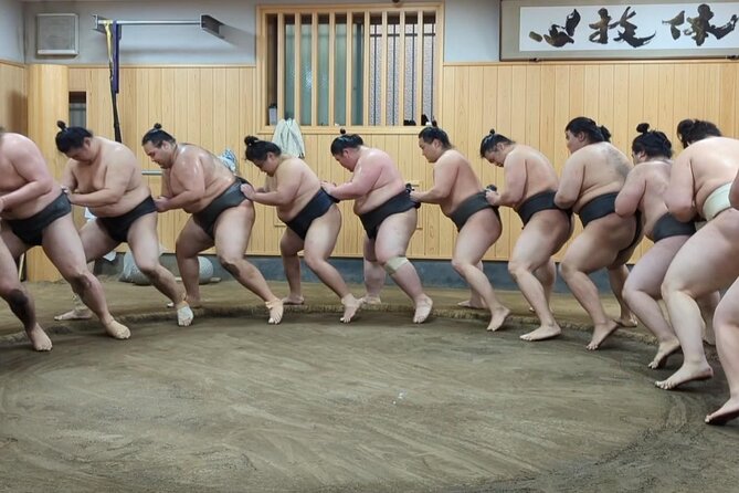 Morning Sumo Practice Viewing in Tokyo - Should you book morning sumo practice viewing in Tokyo?