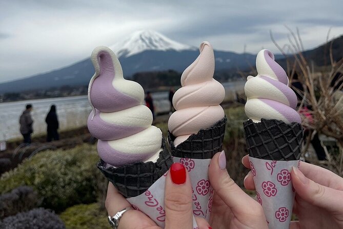 Mount Fuji Adventures Private English Tour With Hotel Pick Up - Quick Take: Best Parts of This Mount Fuji and Hakone Private Tour