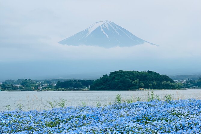 Mount Fuji Adventures Private English Tour With Hotel Pick Up - Lake Kawaguchiko: Lakeside Timing for the Best Fuji Views